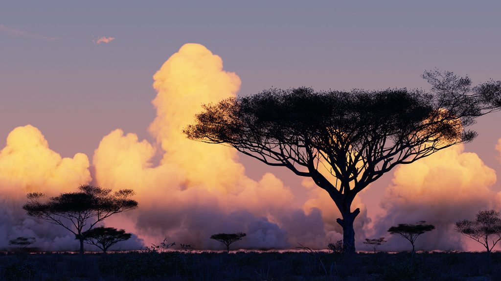 Embers of the Savanna