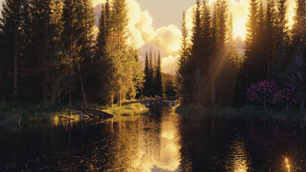 Forgotten pond